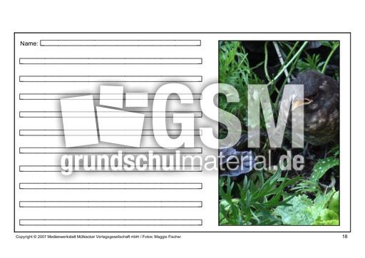 Amsel-eigene-Texte-18.pdf